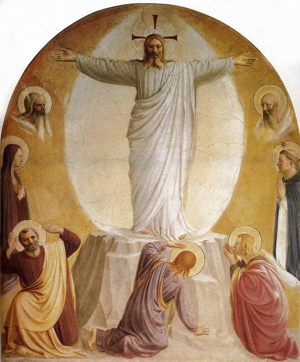 DIVINA MISERICORDIA tweet media