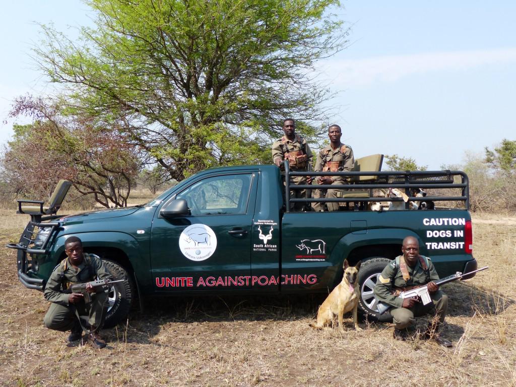 A fantastic documentary on the ranger dogs helping to combat rhino poaching.
youtube.com/watch?v=vpv-tn…