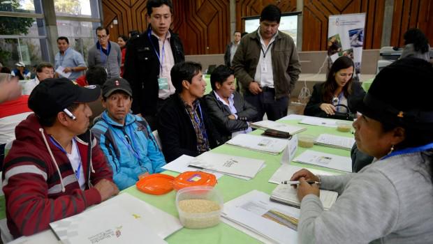QuinuaPe's tweet photo. Ecuador: Productores de #quinua buscan más compradores. Ver más http://t.co/OK1DQhgJVE http://t.co/VgUe59x2U2