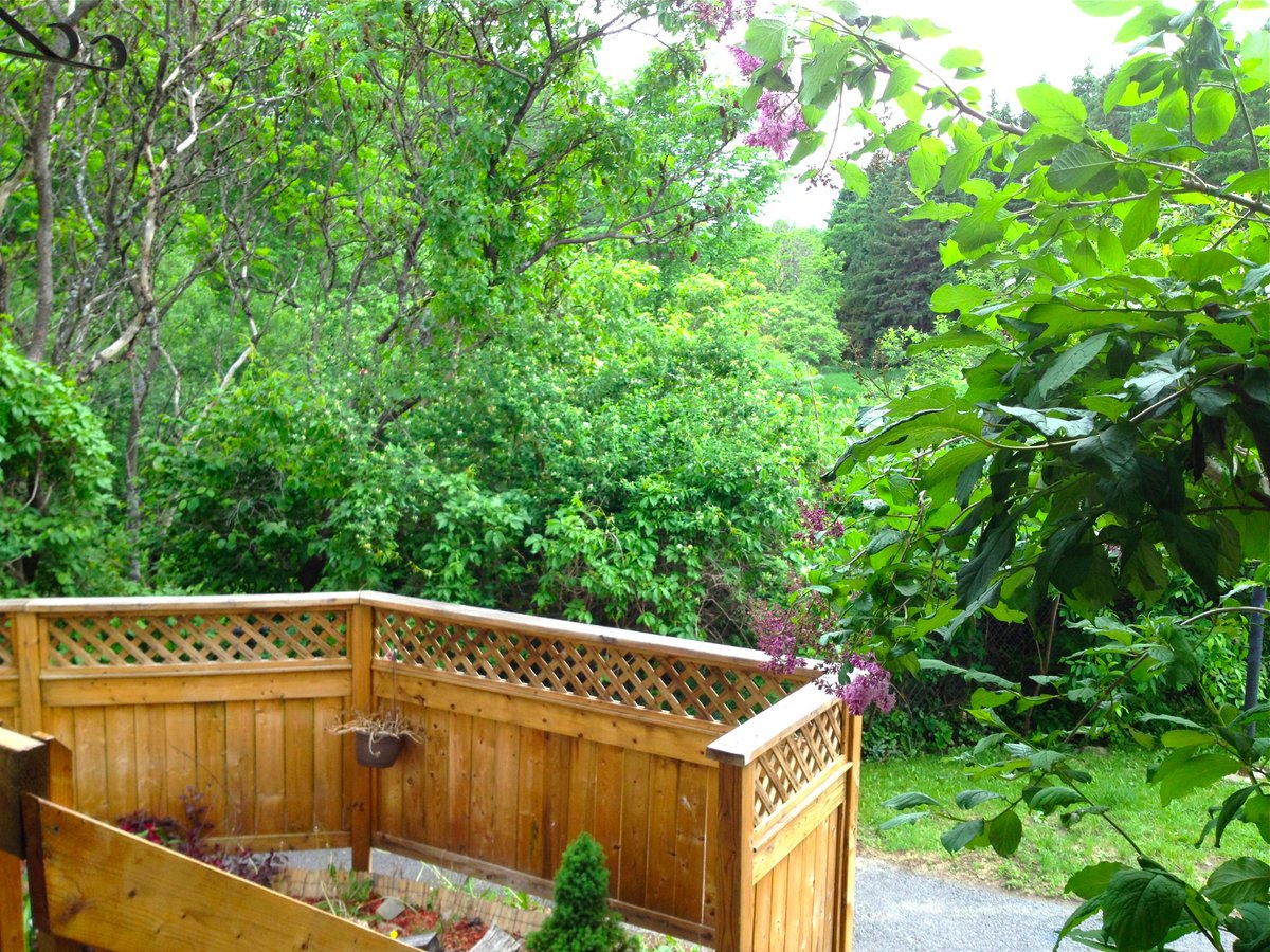 DPowerSuttonRep's tweet photo. Love nature but need to be in city limits I got the place for you. Not publicly listed yet. ?s Tweet @ me.#RealEstate http://t.co/0NqupYS8lP