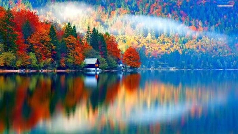 ali33322216 tweet picture