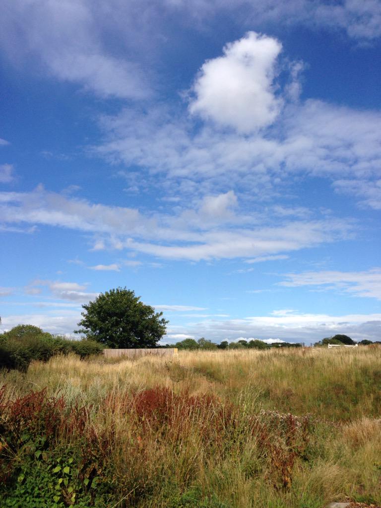 RideEatRestRep's tweet photo. Finally some weather worthy of the word 'summer'. Go ride your bike! #cycling #yorkshire #rideeatrestrepeat http://t.co/HD1wIqpsCX