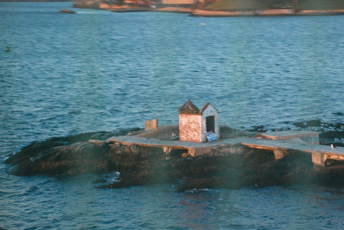 AgentBuzzCom's tweet image. This how could use a Buzz4Agent.com sign rider!