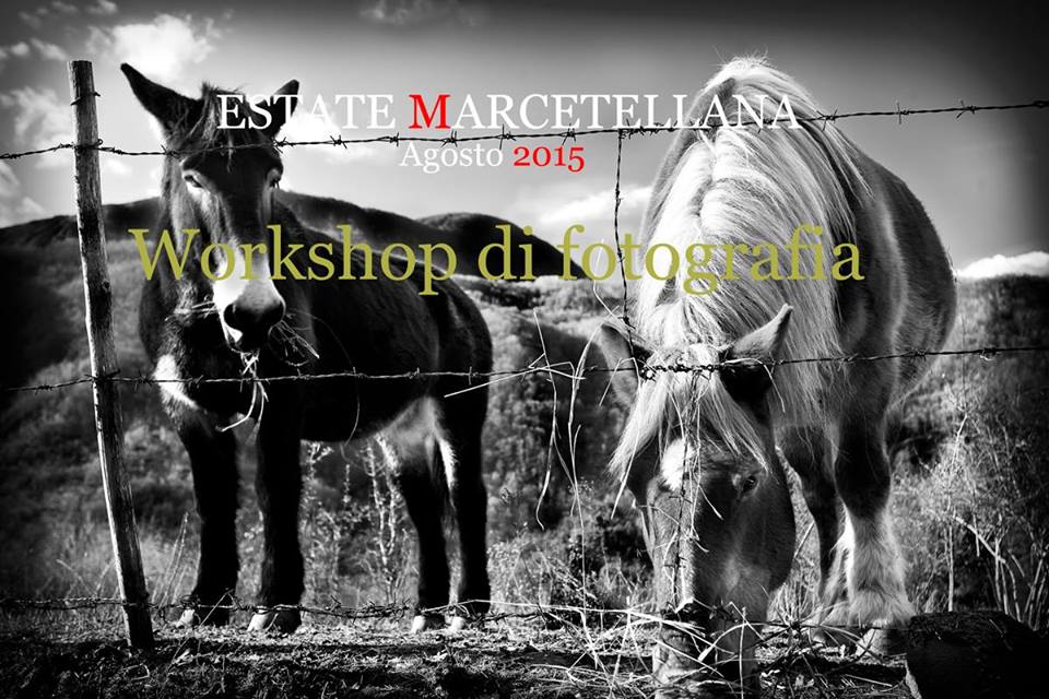 co_dimar's tweet photo. Grazie al nostro amico e paesano @maurosestili. Nel link le indicazioni https://t.co/saTCFr2x0A
#Rieti #Fotografia http://t.co/pQnlfdGQU4
