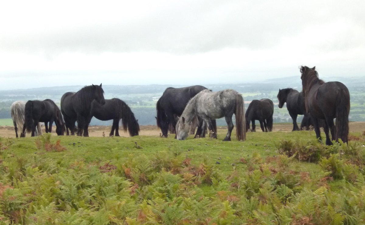 Beckside Farm tweet media