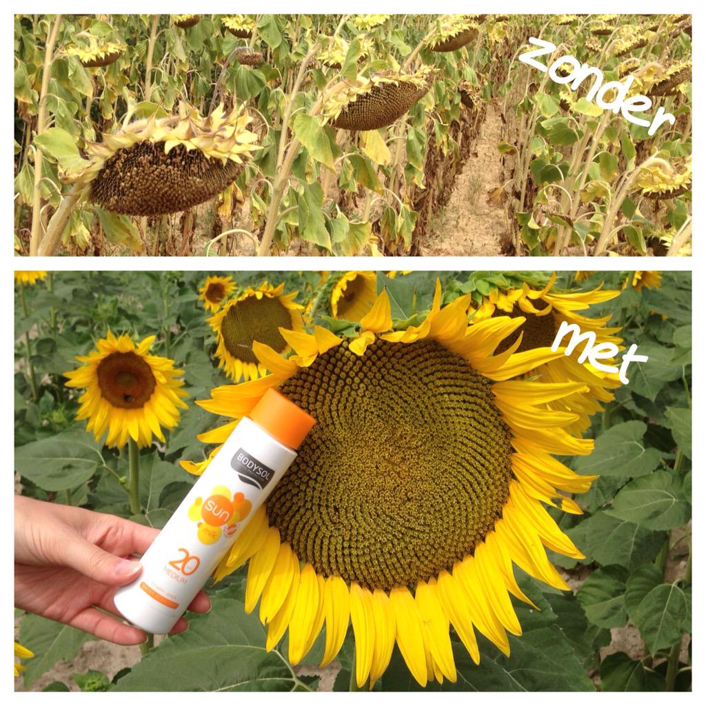 Lieselotte_DW's tweet photo. #HavingFunWithBodysolSun #Happy zonnen MET #Bodysol ๐ #omegaaroundtheworld http://t.co/hbizPhIhWT
