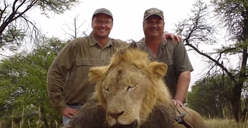 ICYMI: <a href="/Delta/">Delta</a> was 1 of 3 airlines to prohibit hunting trophies after #CecilTheLion's death: youtu.be/bzS7F7cmGyc