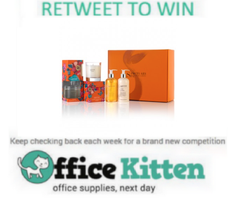 OfficeKitten tweet picture