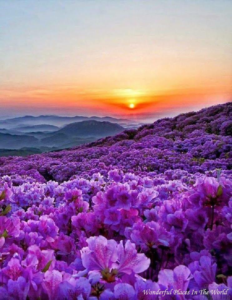 JenaC2's tweet photo. Beautiful morning✨✨✨ http://t.co/fbvPr1vsyG