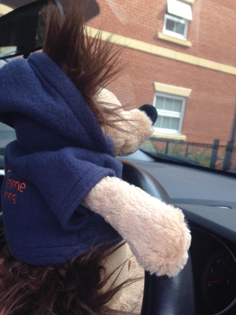 lou_lifetime's tweet photo. @Lifetime_EY Henry offered to drive to his new home 2day bye bye Lifetime Head office #alifetimeofplay #Henry http://t.co/T5sFYSmHuz
