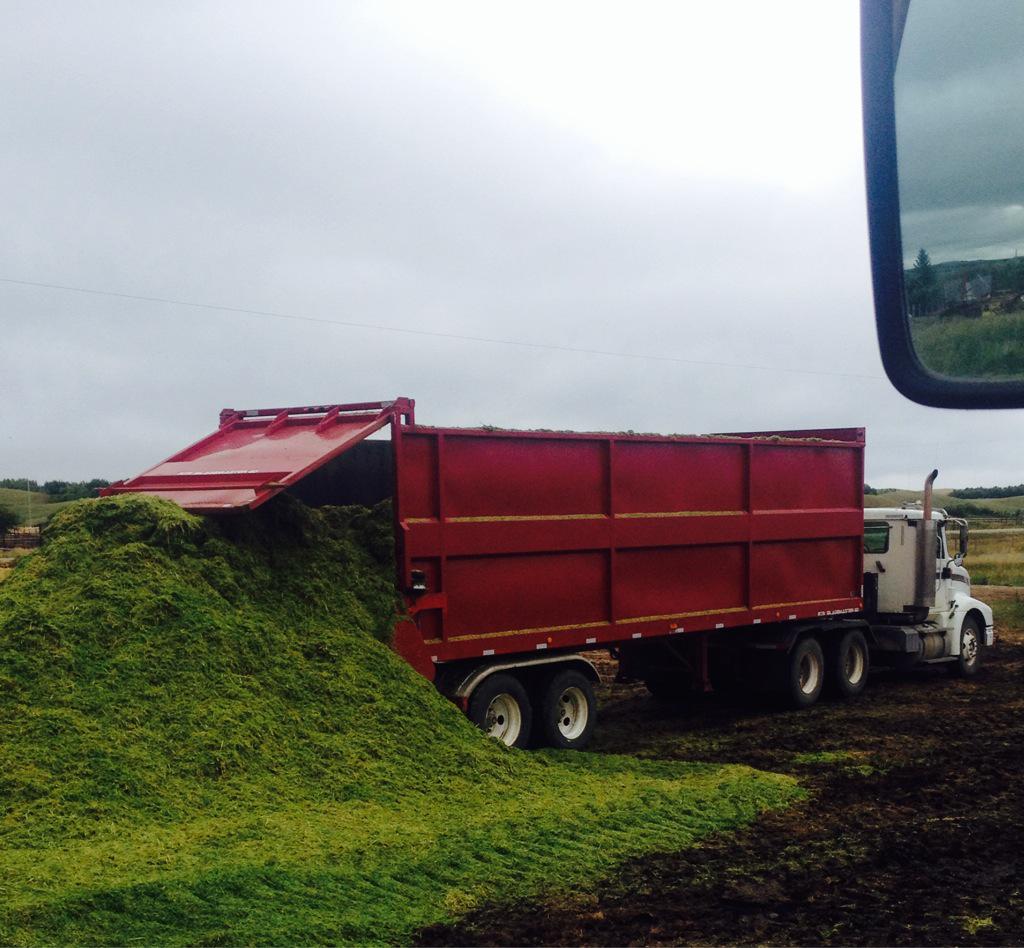 oldipp's tweet photo. Choppin' Barley #silage15 has begun http://t.co/1oQp2v0mll