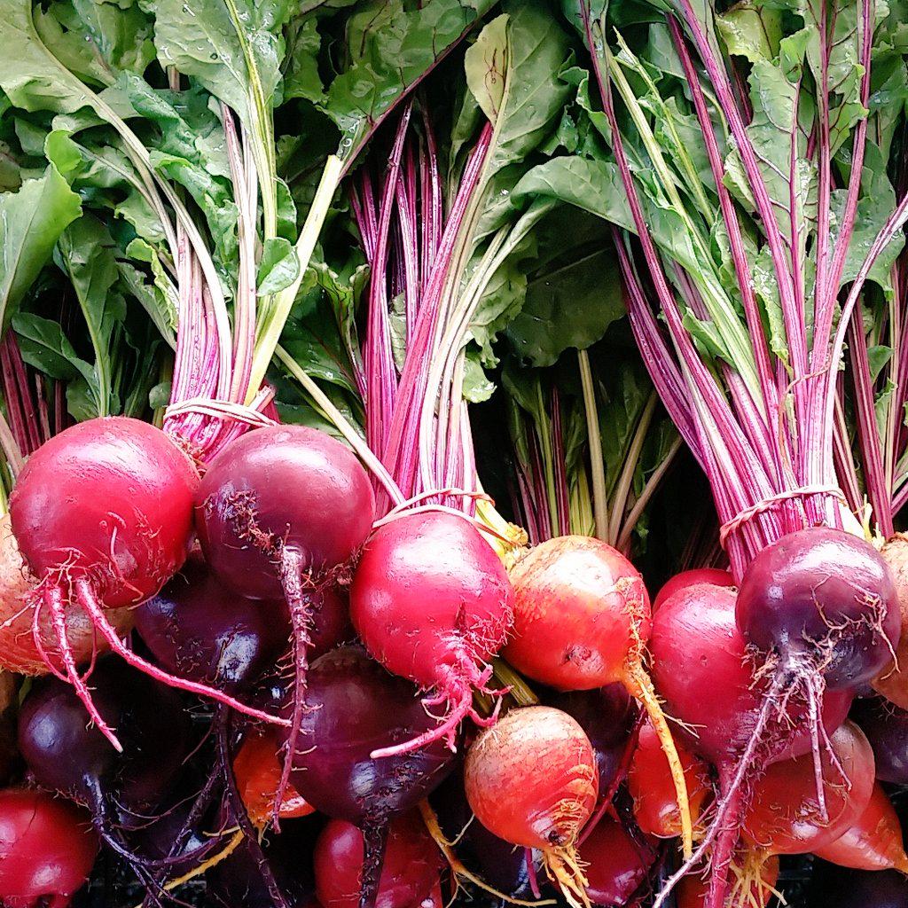 springkitefarm's tweet photo. Beet bouquets for all ready to go for @ChimneyPark Enjoy! http://t.co/6SXGB6ZGUU