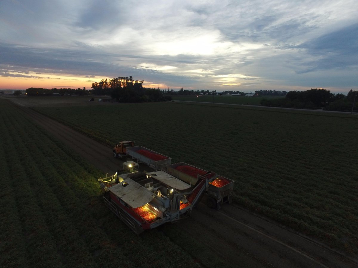 agleader's tweet photo. While you sleep farmers and farmworkers work to bring safe #food and #fiber to you. #cawater #drought #farm #ag #uav http://t.co/HXKTG4Um4Y