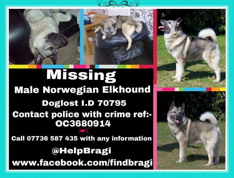 Murphy's Army tweet media