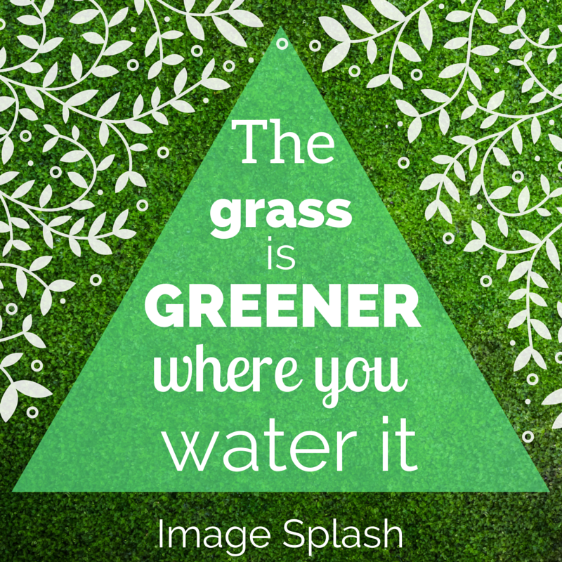 ImageSplashMN tweet picture