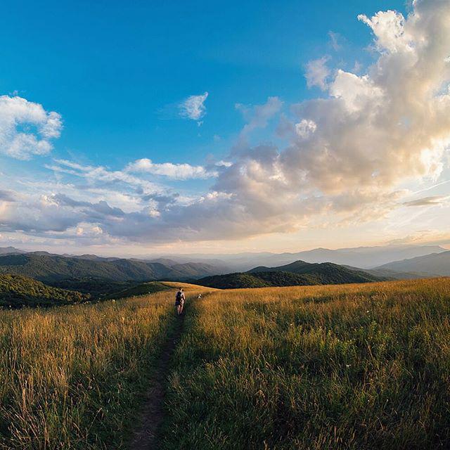 cdybrynt's tweet photo. Let's adventure! Like, right now. #fulltimeadventurer #exploreeverything #maxpatchmountain #letscamp #datview http://t.co/hdK3TBZngX