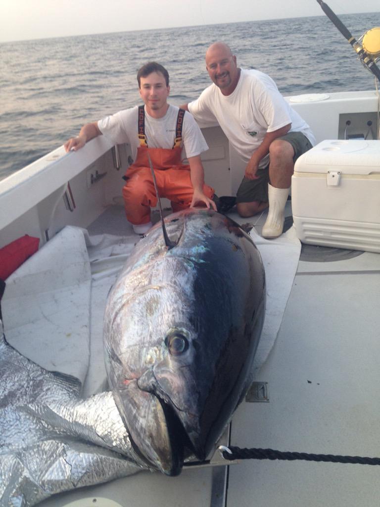 fvbountyhunter's tweet photo. Capt. Steve Zelck and deck boss Cam Newth pictured with another fish a few weeks ago http://t.co/cwsijSewXM
