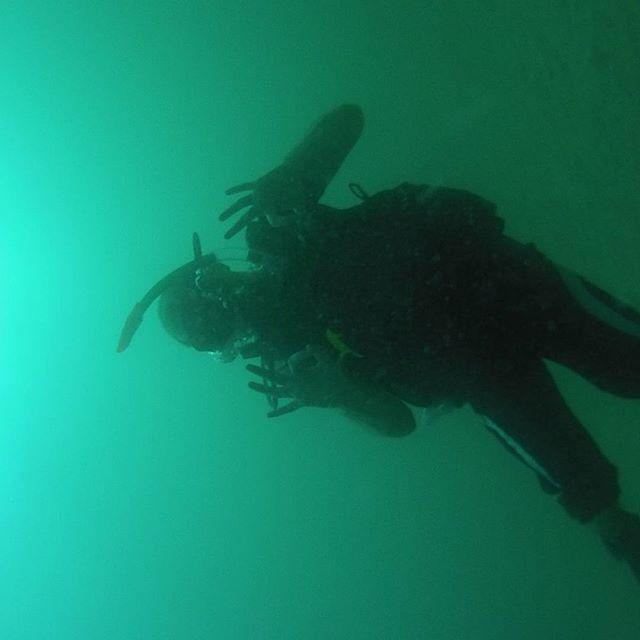 actiontravel_'s tweet photo. Awesome bro #diving #abudhabi #awesome #colourful #fish #hamoor #scubadiving by boya3goob… http://t.co/xE5M0lphe1 http://t.co/cQOdBMTNO9