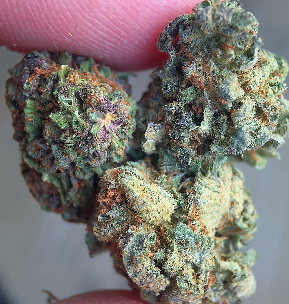 Rt if you agree this is WEED PORN.