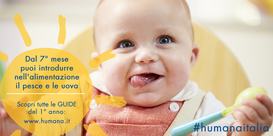 Humana_IT's tweet photo. Uovo e pesce fanno parte dell'alimentazione del tuo bimbo?Scopri di più sulla guida al 7°mese https://t.co/H6PFBXlsy2 http://t.co/DMTy1IiwzD