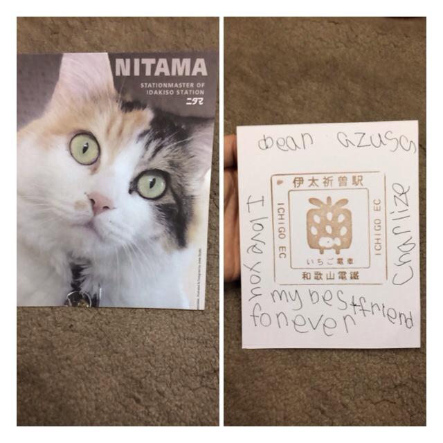 azux6's tweet photo. 連泊された外国のお客様と
2日かけて仲良くなり
5歳児の子供にお手紙貰いました💓
アズサーって毎回手振ってくれる
可愛すぎました。
しぇりーちゃん、あいらぶゆー http://t.co/tM69ptNspm
