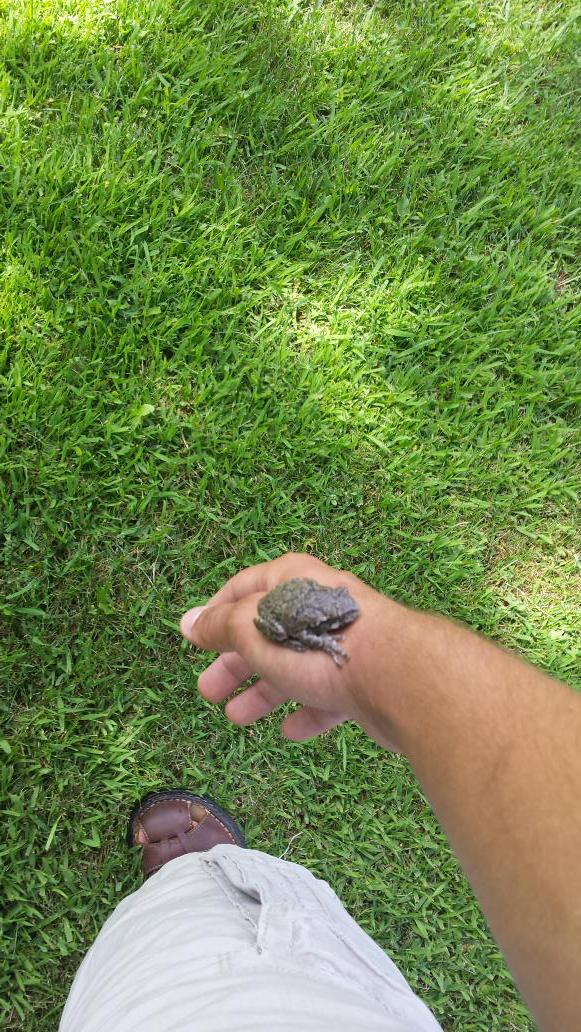 Had a little friend jump on my hand