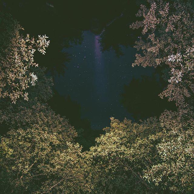 Pacific Snacks tweet media