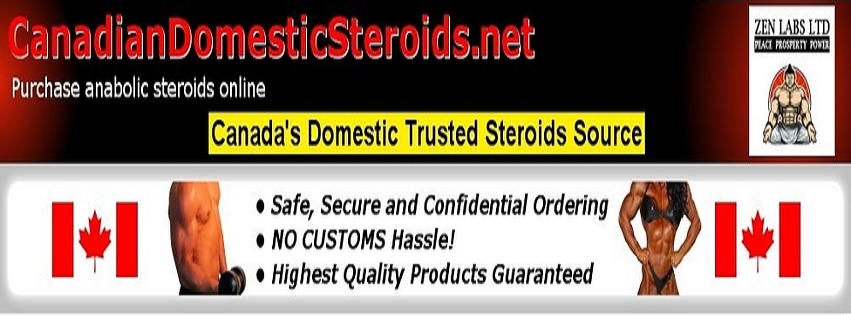 steroidcanada's tweet photo. Great Source of Anabolic Steroids @steroidcanada Available - http://t.co/zhcSFMBJFg

#steroids #anabolic http://t.co/CM3MrOU3xx