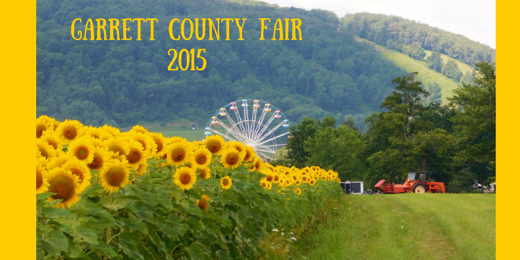 DeepCreek's tweet photo. #deepcreeklake #GarrettCountyFair #summerfun http://t.co/lku9RXyxOh