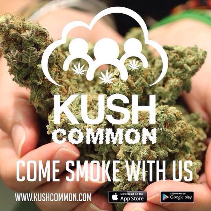 KUSHCommon's tweet image. #kushcommon #marijuanamodels #cannabis #weed #mmj #420 #thc #dab #vape #marijuana #blaze #kush #hemp #cbd #710 #bong