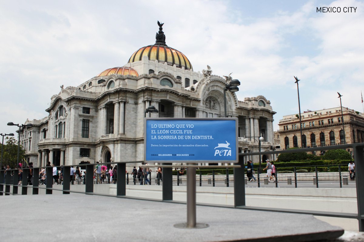 PETA_Latino's tweet photo. La triste verdad. 

#CecilTheLion 

#SmallBillboards http://t.co/35OQe0QEIx