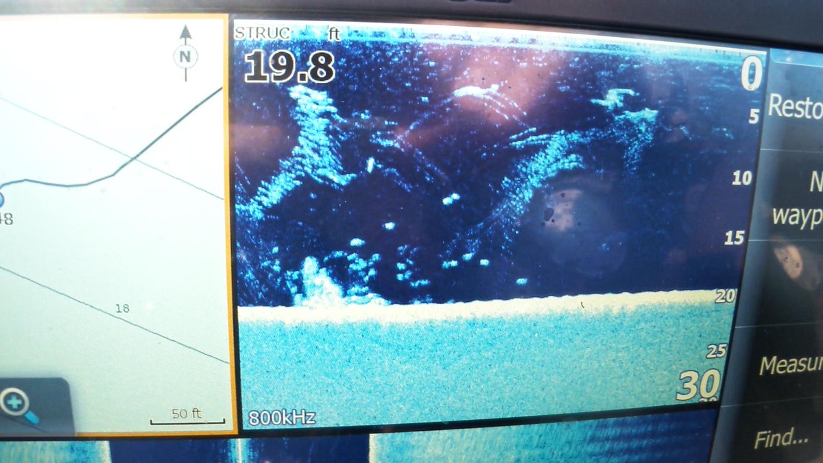 mikeybalzz's tweet photo. brush/bass/bait
brushpiles (left), big bass (left-center), bait (above)
#breakdown
#lowrance
#downscan http://t.co/TvMSsORN9f