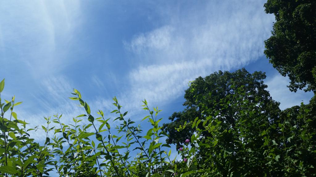 eddiespike's tweet image. Amazing sunny day at the #BackyardBeach!!!!