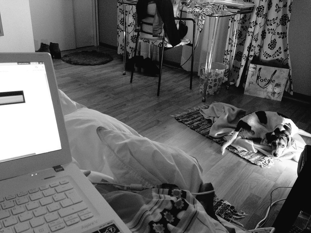 _slowanimals's tweet photo. Tratando de alegrar la tarde ☁️ http://t.co/gEwCqPfyJx