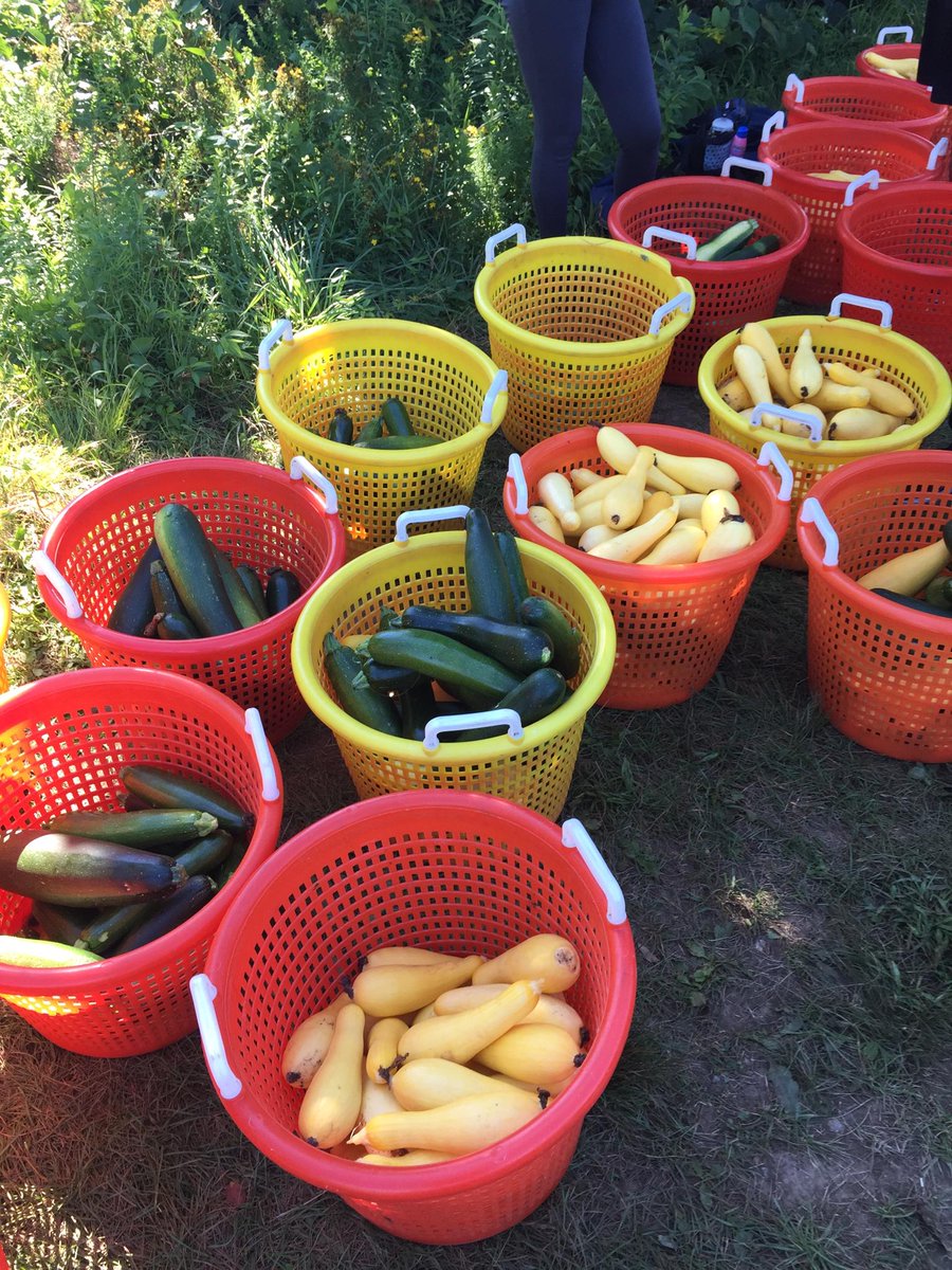 TonyArous's tweet image. Product security enjoying the day on the farm. #EOS2GETHER #EMCGivesBack