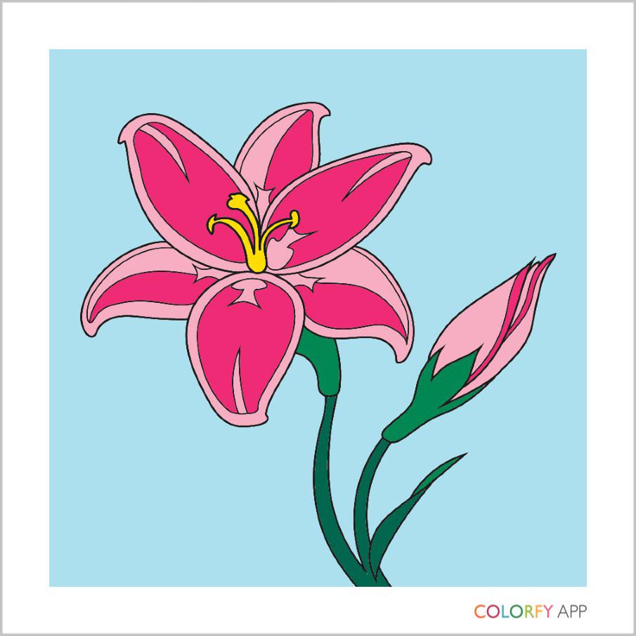 LaineAdamson's tweet photo.    #colorfy #painteditmyself #coloringbook #cute #beautiful #love http://t.co/dbiVdtnZ6o https://t.co/RDsBgSjBAc http://t.co/BKIKiG4OaW