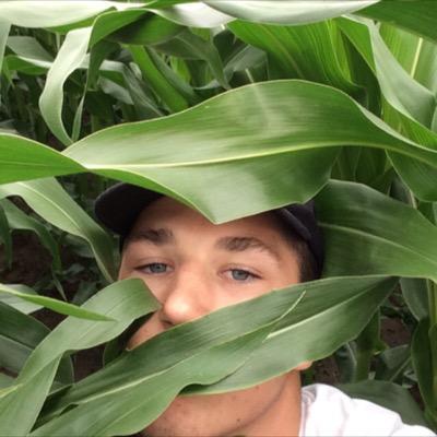 waunders_syatt's tweet photo. Smelling my farts on these leaves http://t.co/9hK7kMTqjX