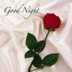 flyrich007 tweet picture