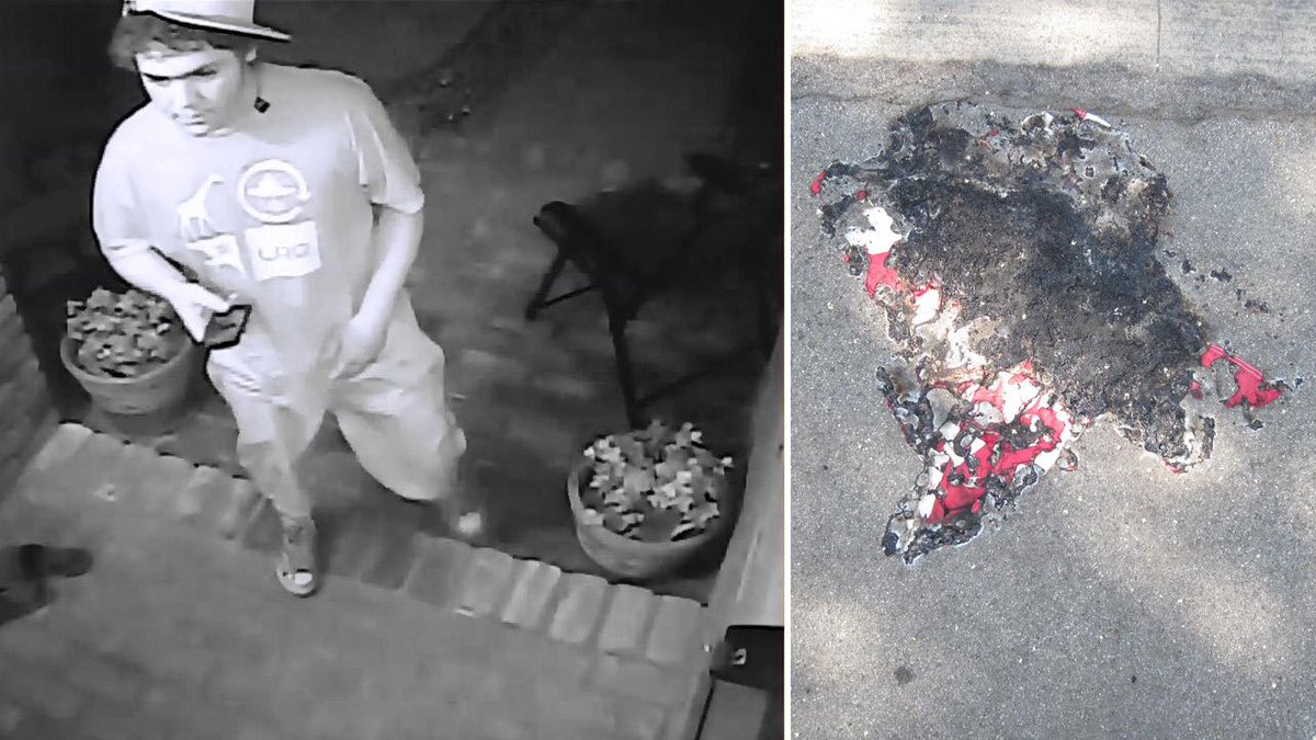 Leftist steals Navy vet's American flag, burns it Long Beach