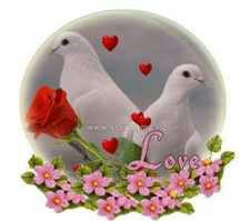 flyrich007 tweet picture