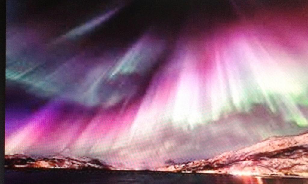 BrasilCabral57's tweet image. Galeria d fotos: aurora boreal
@Greenpeace ñ dará trégua à petrolíferas!
●Defesa do Ártico
#BlockShell
#SaveTheArctic