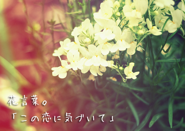 リナリアの花のtwitterイラスト検索結果 古い順 リナリアの花のtwitterイラスト検索結果 古い順