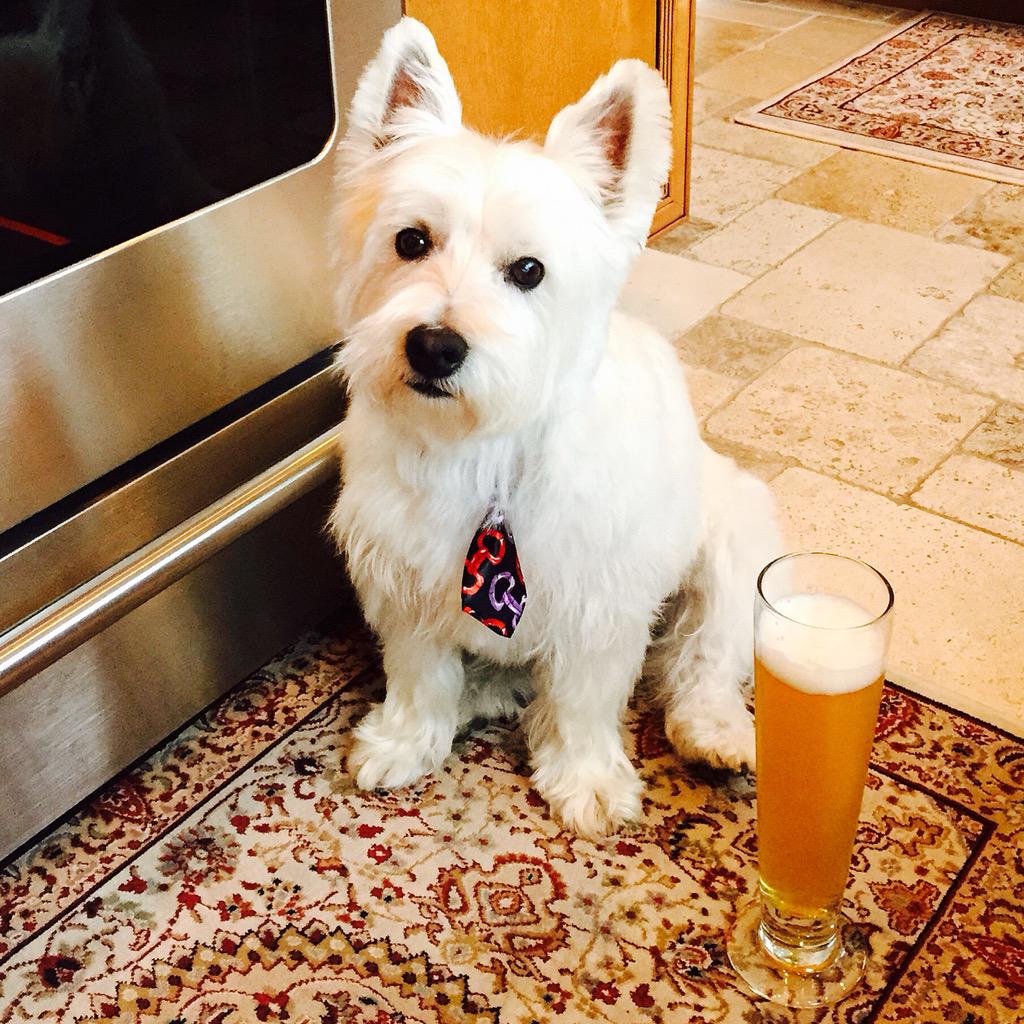 JayOrwig's tweet photo. Hey Franklin...save some for me. Prost! 🍻😛 @FranklinOrwig http://t.co/emSmqhI8vu