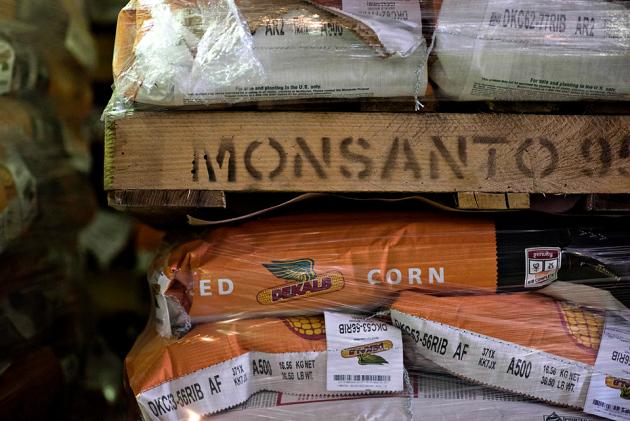Nature's tweet photo. GM-crop opponents expand probe into ties between scientists and industry http://t.co/npEhAUXgjK http://t.co/AS8dYwpT2a