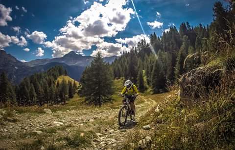 RifugioCristina's tweet photo. Immagini del sentiero che collega #campomoro a #lagopalù..in #MTB e #ebike!
#valmalenco @bikebernina @Valtellinanews http://t.co/pSljGXasUR