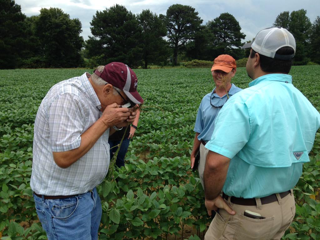Charlie Stokes (@chrlstokes) on Twitter photo Dr. Billy Moore looking for soybean cyst nematode in Prentiss Co. <a href="/TrentIrby/">Trent Irby</a> <a href="/MSSOY/">MS SOYBEAN BOARD</a> Dr. Billy Moore looking for soybean cyst nematode in Prentiss Co. <a href="/TrentIrby/">Trent Irby</a> <a href="/MSSOY/">MS SOYBEAN BOARD</a>