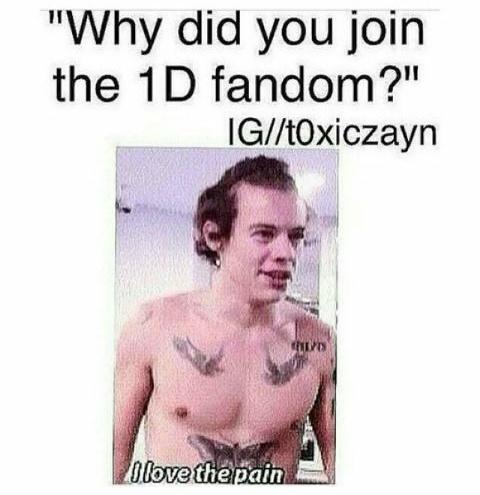 paynocupcake's tweet image. #MTVHottest One Direction 
#1DFandom
#WeSupportBriana

It looks like everyone in this fandom does