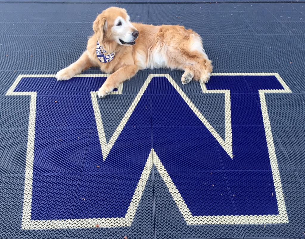 I hope all DAWG fans are ready for fall camp....I know my dog Sonny is!