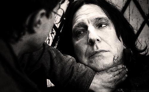 harry_potterPL's tweet image. Te zdjęcia prawdopodobnie doprowadizły Cie do płaczu, myślami nad tym jak stary jesteś lub rozbicia serca na kawalki