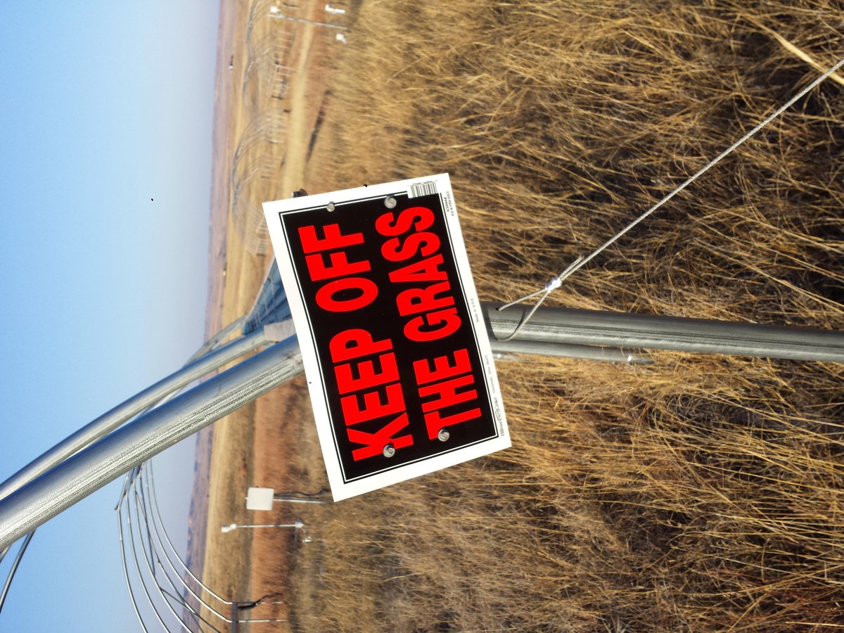 Josh O'Malley tweet media